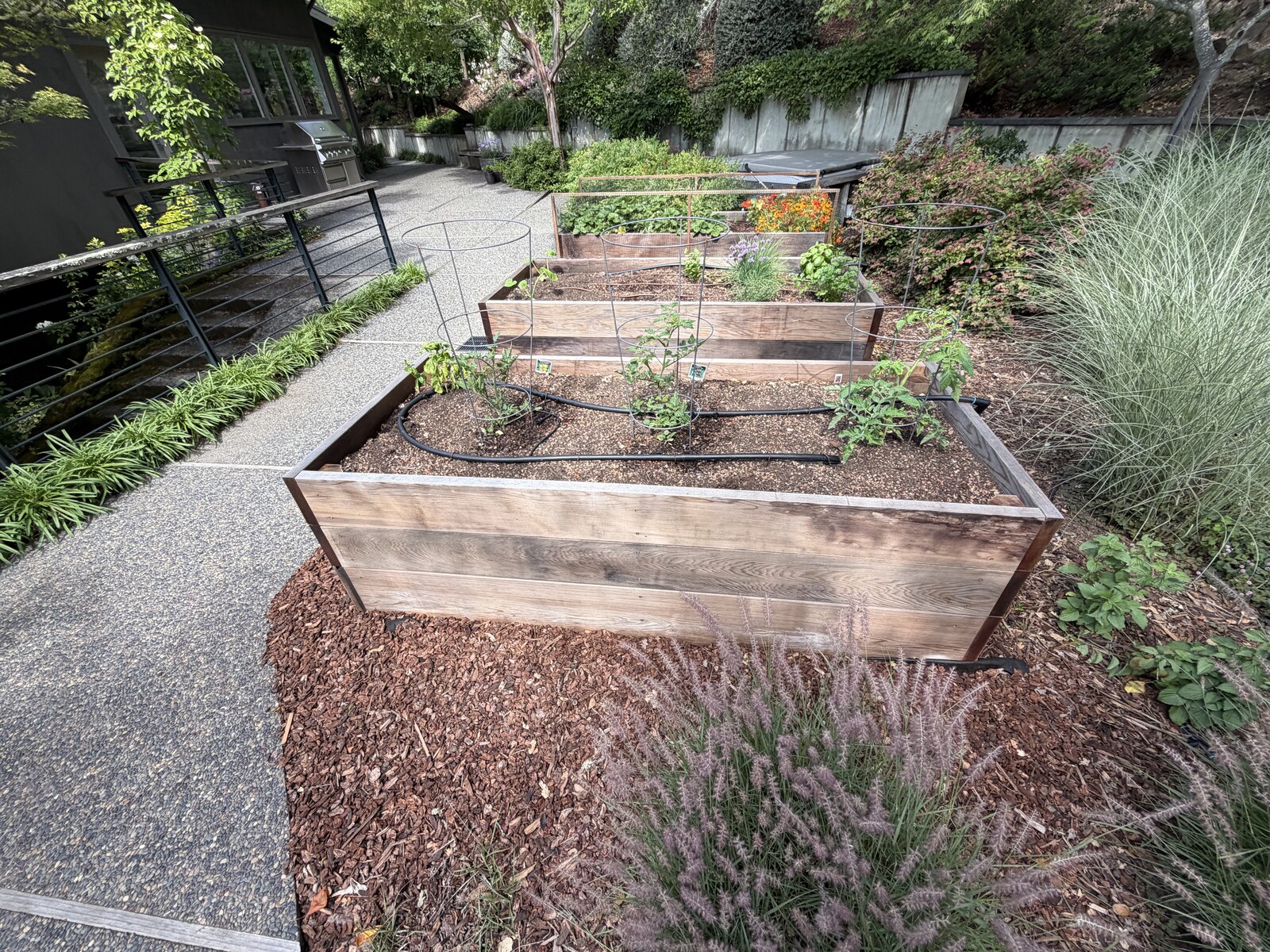 Raised garden bed constructed by Mestow Landscaping — wood framing, irrigation, and planting