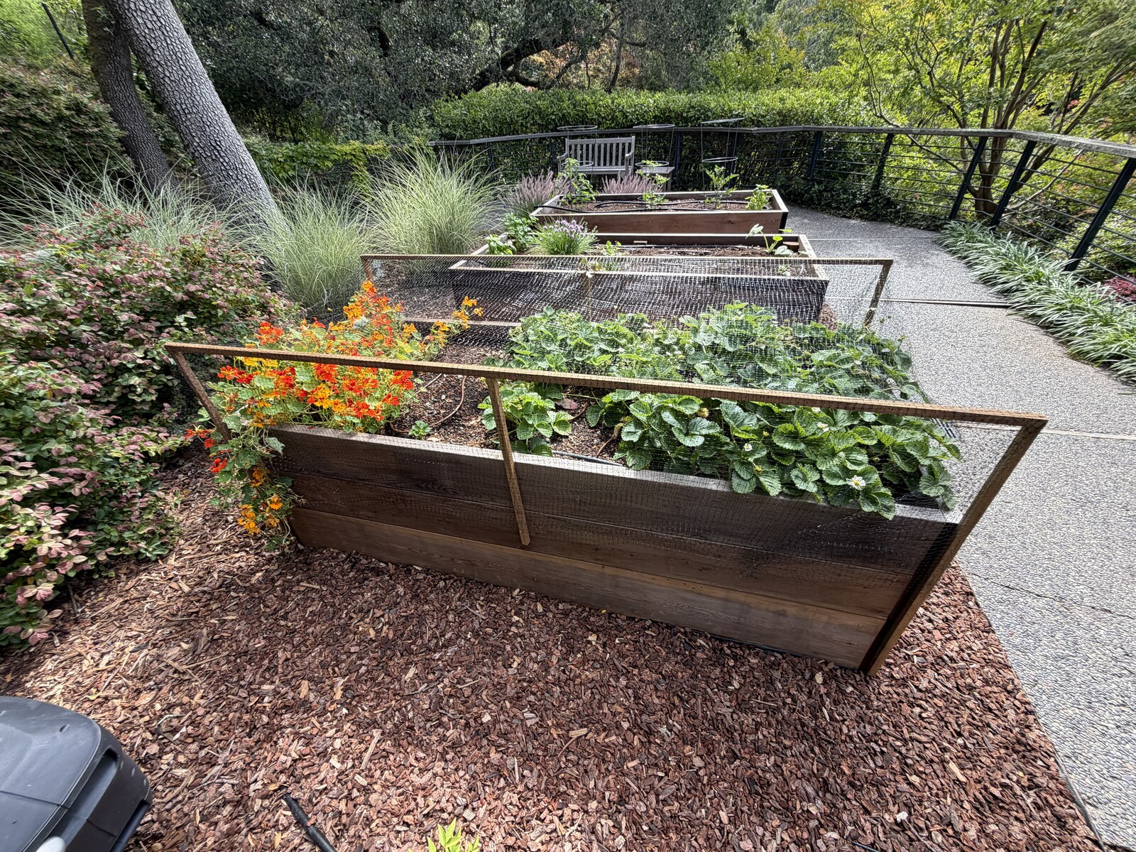 Raised garden bed constructed by Mestow Landscaping — complete with mesh, irrigation, and plants