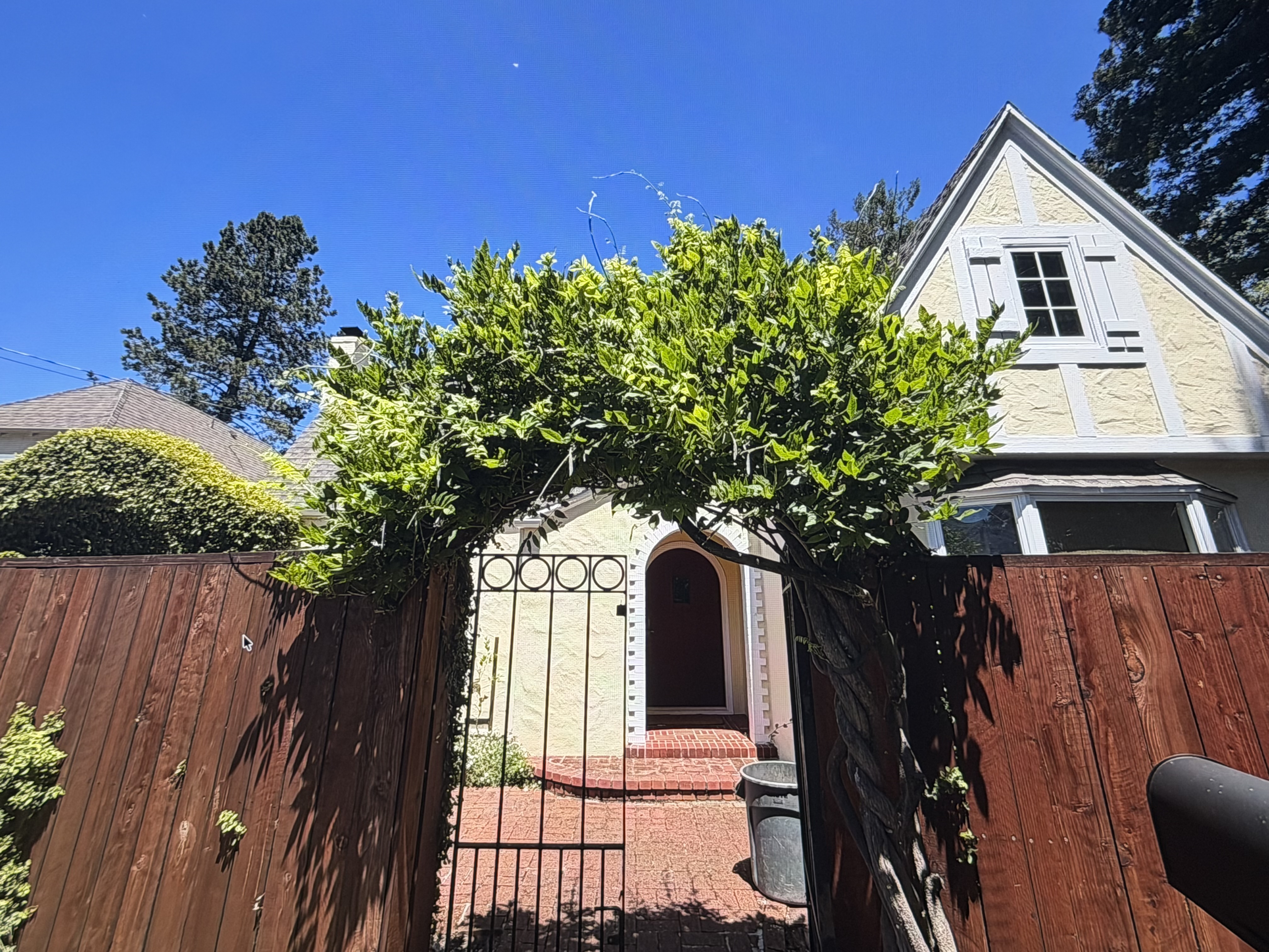 Garden entry with mature planting and a wood fence cared for by Mestow Landscaping
