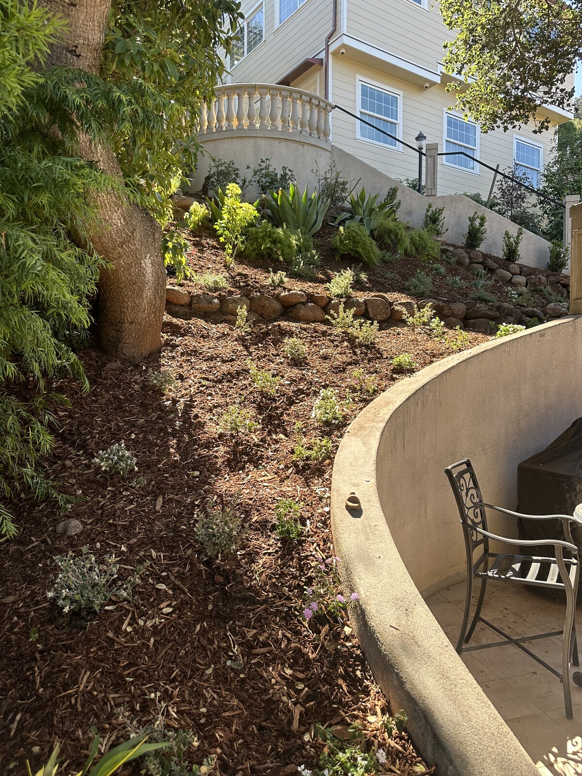 Mulch installation and planting by Mestow Landscaping